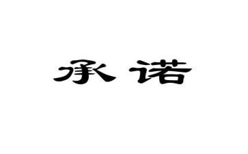 工作承诺书7篇