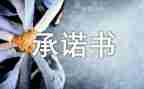 个人向单位承诺书范文7篇