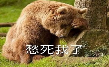 关于愁的作文800字优质7篇