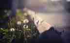 触动心灵的瞬间作文优质6篇
