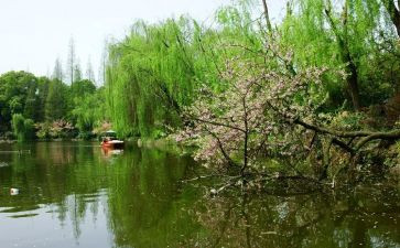 春节活动方案春节活动策划5篇