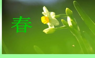 幼儿园大班春季教学计划7篇