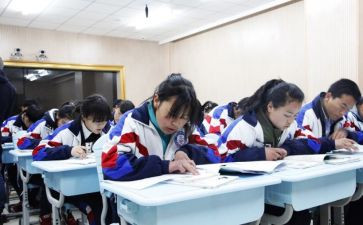 初中历史教学总结8篇