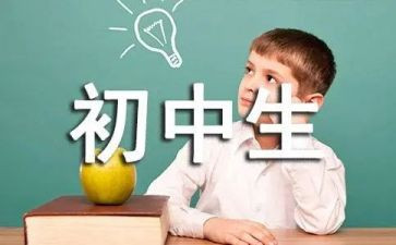 最新初中英语教学计划6篇