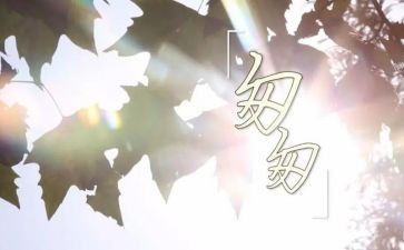 匆匆的心得体会6篇