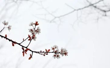 读后感匆匆读后感优质6篇
