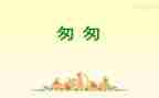 读后感匆匆读后感精选7篇