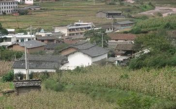 年度村委工作总结优秀6篇