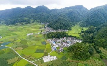 村卫生站工作计划范文最新8篇