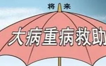 大病救助能申请书精选8篇