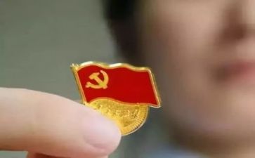 党心得体会200字作文7篇