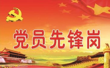 党工个人总结报告优质6篇
