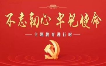 党日主题活动总结7篇