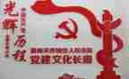 医院党建工作个人年终总结5篇