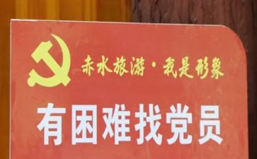 党员工作总结参考5篇