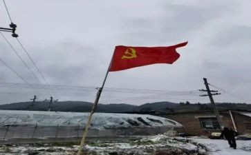 部党员转正申请书范文参考5篇