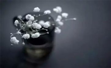 上网课的得与失作文600字7篇