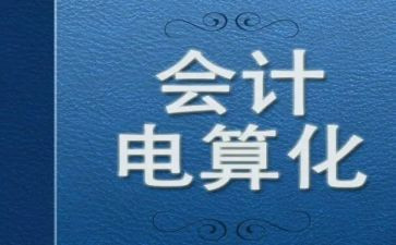 电算化会计心得体会8篇
