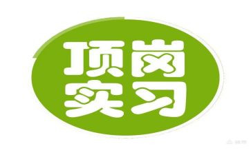 教师顶岗实习个人总结7篇