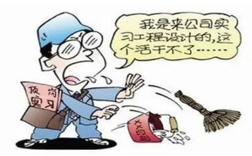 会计顶岗个人总结7篇