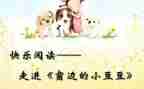小豆豆的书读后感作文7篇