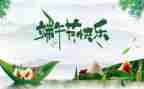写端午的作文700字6篇
