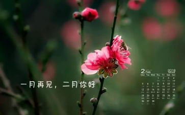 大班十二月心得6篇