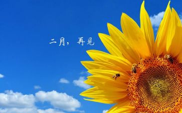 小小班二月工作计划6篇