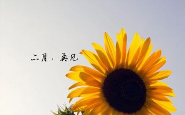 十二月份小班幼儿工作总结5篇