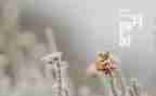 二月工作计划优秀5篇