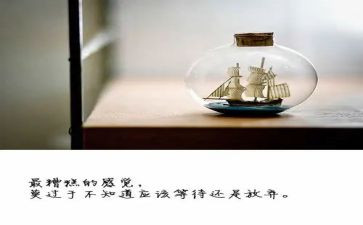以放飞理想为主题的演讲稿5篇