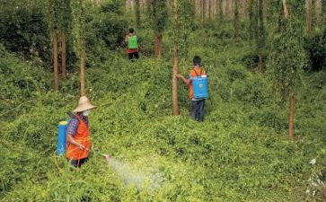 职业病防治宣传活动总结通用8篇