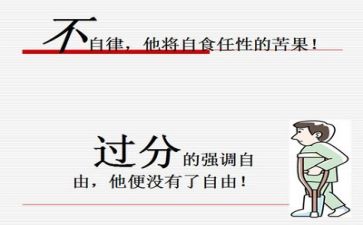述职反思总结6篇