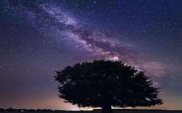 读了繁星春水的读后感8篇