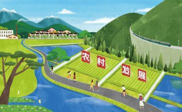幼儿园教师发展工作总结7篇
