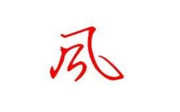 台风的作文300字7篇