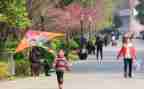 问风筝教学反思8篇