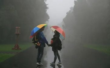风雨小学生作文5篇