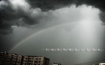 台风雨小学生作文8篇