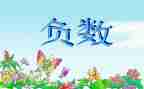 认识负数2教案8篇