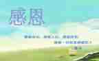 感恩工作的演讲稿5篇