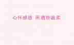 关于感恩词的演讲稿5篇