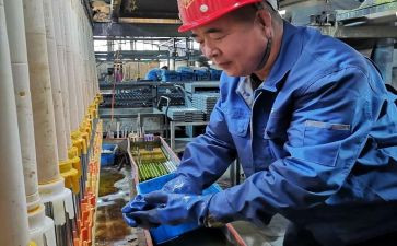 2024年工段长年终总结5篇