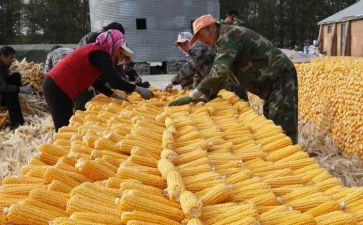 建筑工程材料购销合同8篇