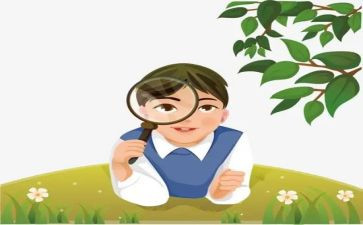 观察虾的作文优质8篇