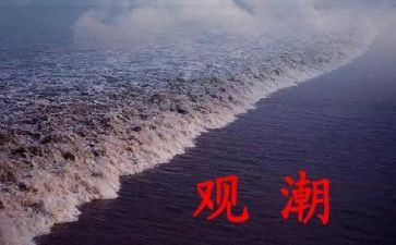 小学语文四年级观潮教案模板5篇