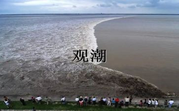 《观潮》教学反思6篇
