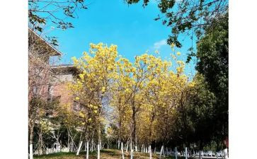 广东中考作文8篇