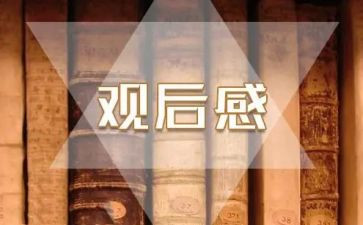 学生村观后感作文通用6篇