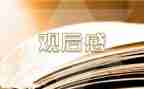 十一观后感精选6篇